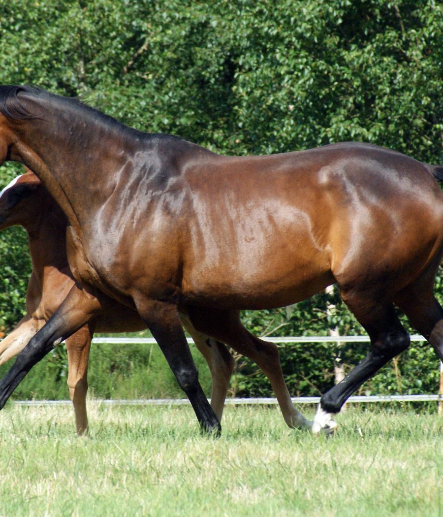 474474114_1541101656570662_9158815308866889720_n