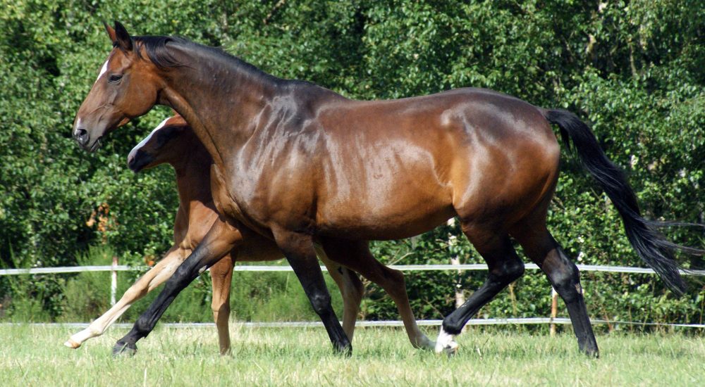 474474114_1541101656570662_9158815308866889720_n