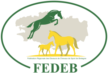 logo-FEDEB-2025
