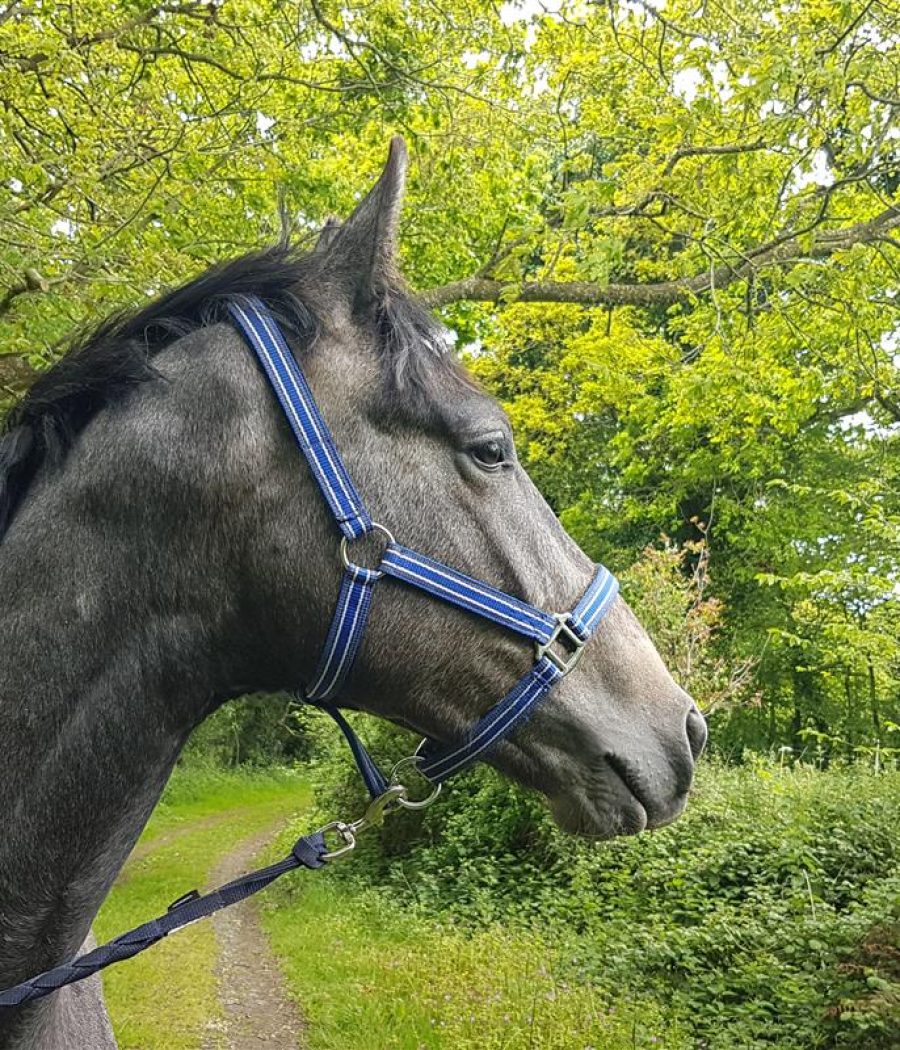 yvn2voy6ttkbt0irfrhk3t